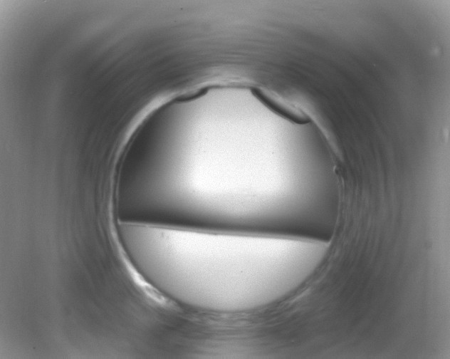 X0000082980861200702011206
