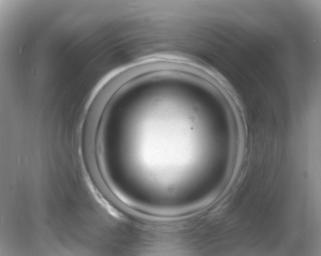 X0000082980862200702011206