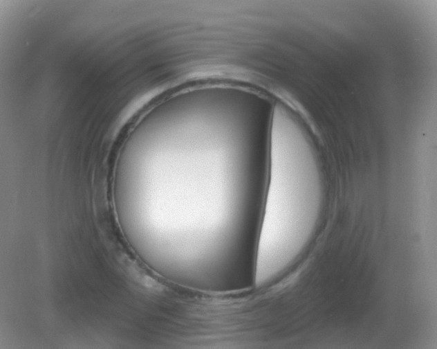 X0000082980877200702011205