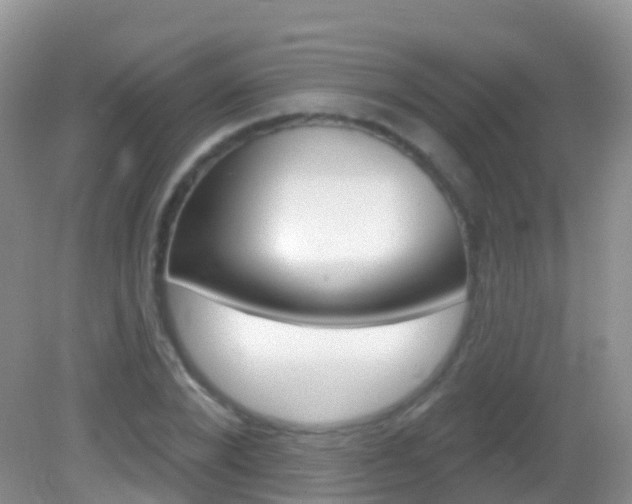 X0000082980880200702011205