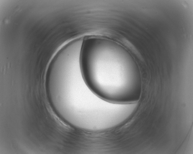 X0000082980884200702011205