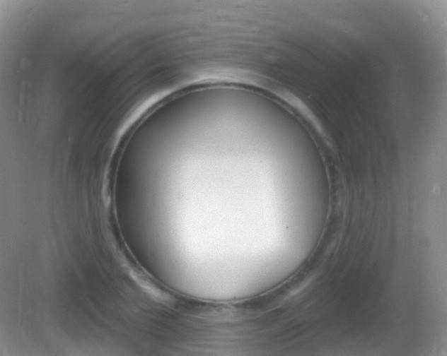 X0000082980885200702011205