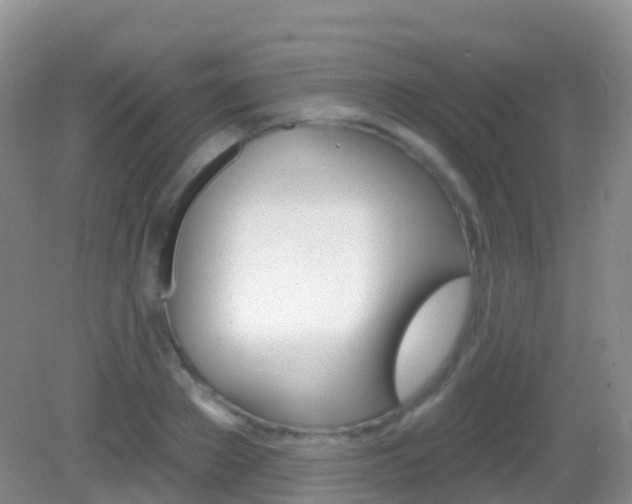 X0000082980889200702011205