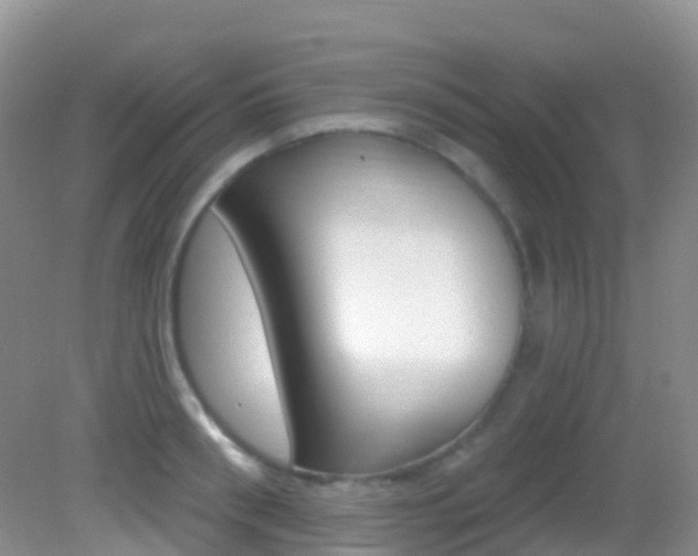 X0000082980898200702011205