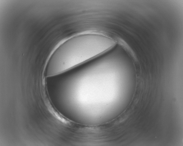 X0000082980900200702011205