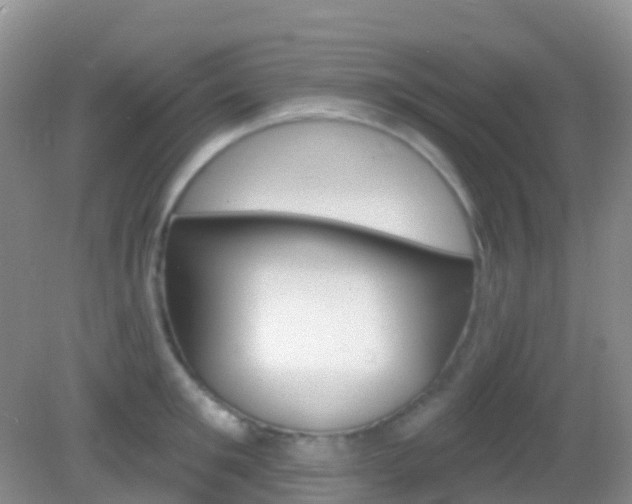 X0000082980901200702011205