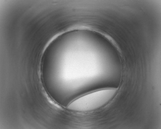 X0000082980904200702011205