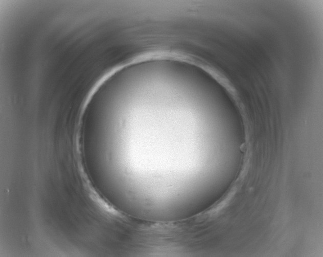 X0000082980912200702011205