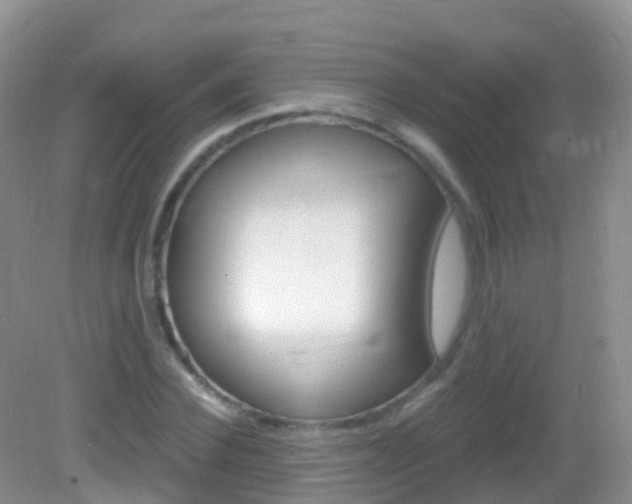 X0000082980924200702011204
