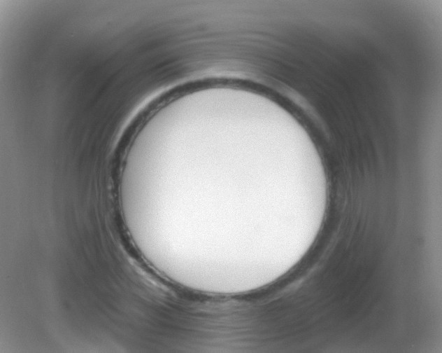 X0000082980926200702011204