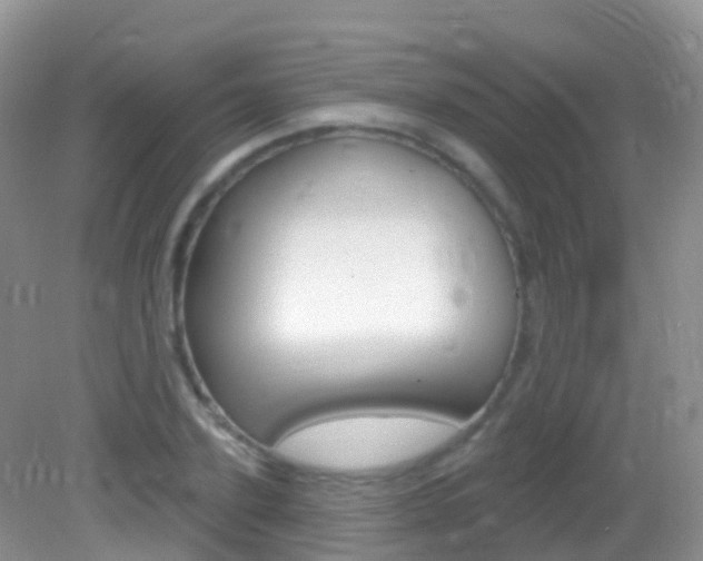 X0000082980931200702011204