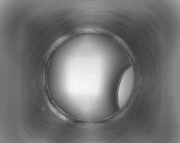 X0000082980938200702011204