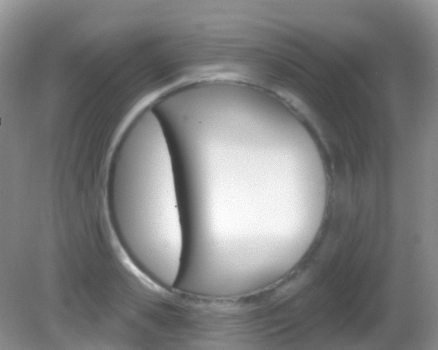 X0000082980941200702011204