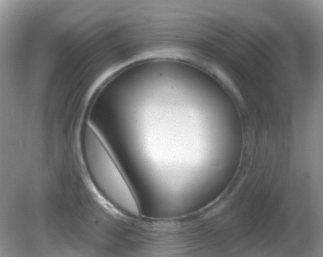 X0000082980944200702011204
