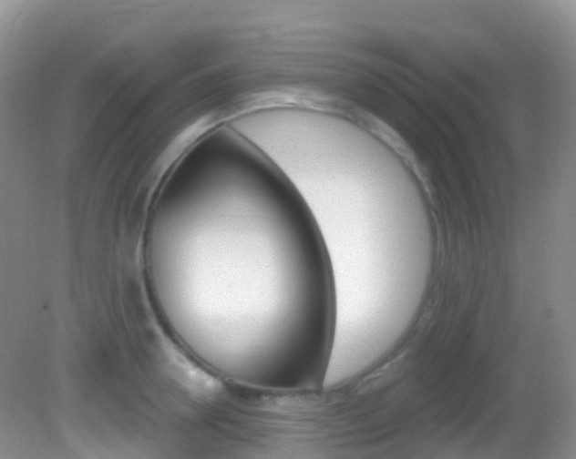 X0000082980946200702011205