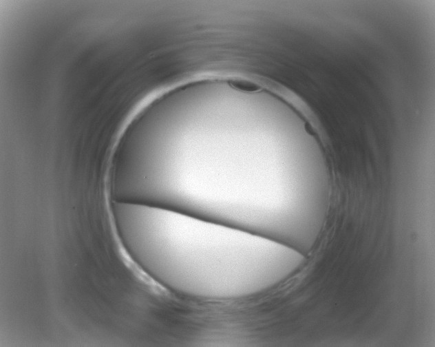 X0000082980958200702011205