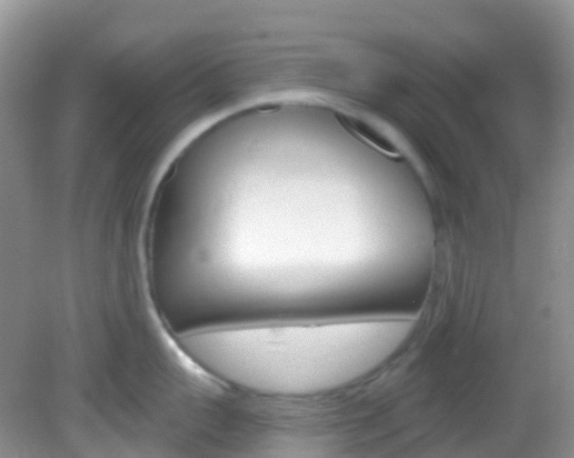X0000082980959200702011205
