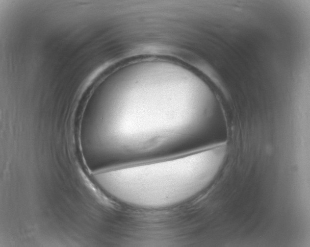 X0000082980972200702011204