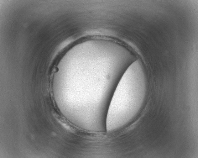 X0000082980974200702011204