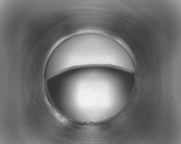 X0000082980996200702011203