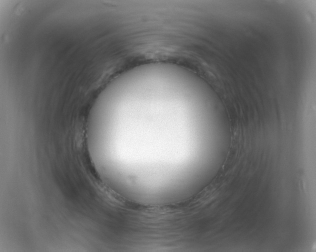 X0000082981012200702011202