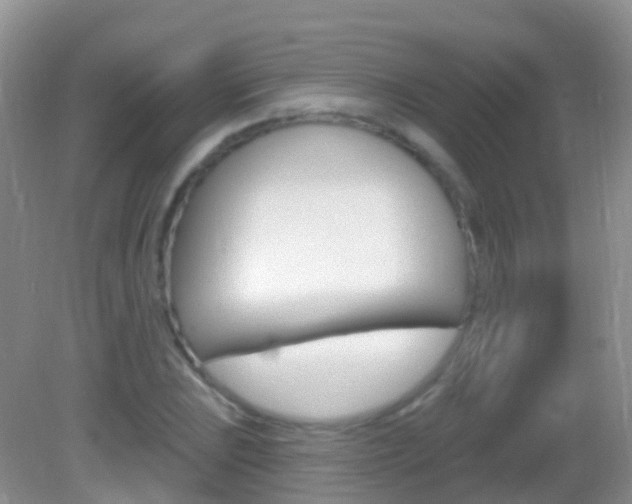 X0000082981023200702011203
