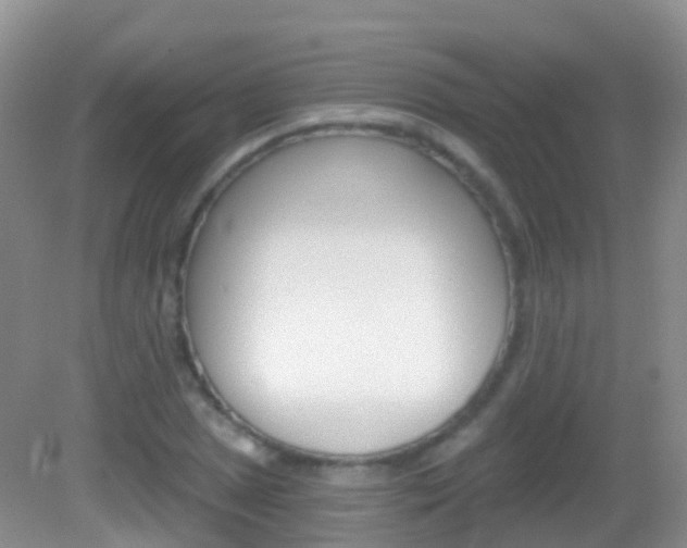 X0000082981025200702011203