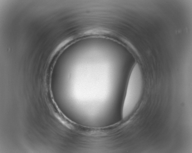 X0000082981026200702011203