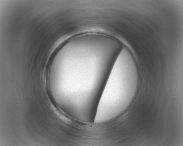 X0000082981032200702011203