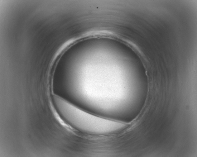 X0000082981038200702011203