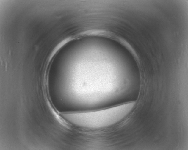 X0000082981050200702011203