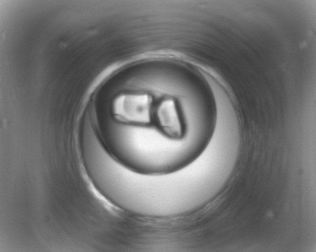X0000082981054200702011203
