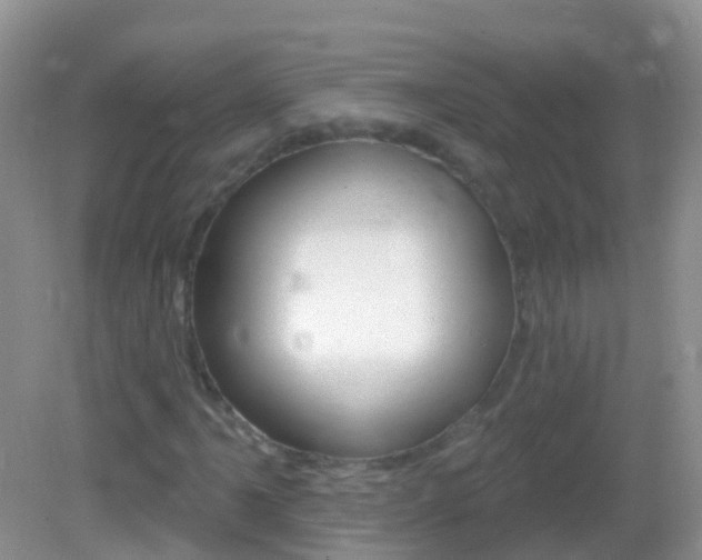 X0000082981061200702011202