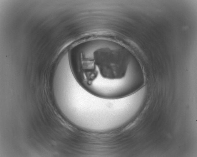 X0000082981065200702011202