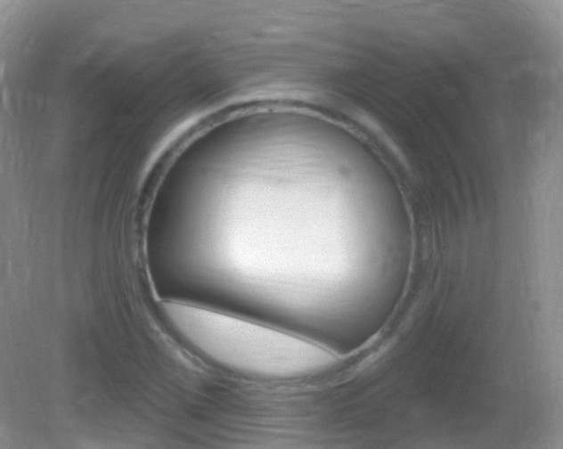X0000082981069200702011202
