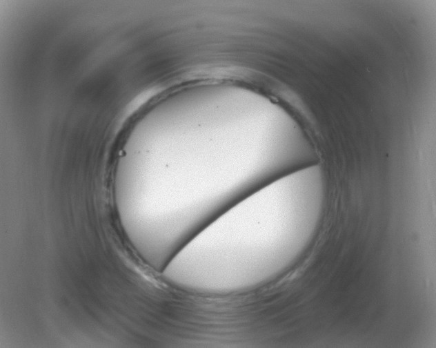 X0000082981071200702011202