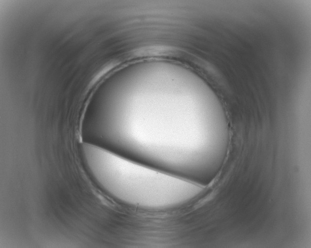 X0000082981073200702011202