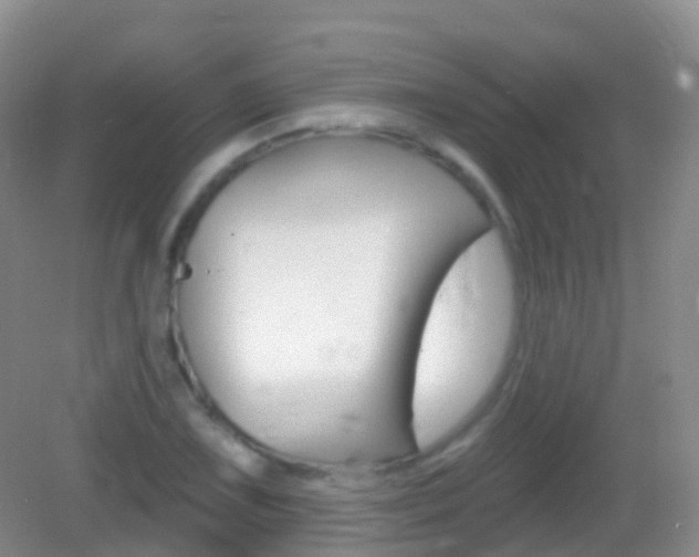 X0000082981075200702011202