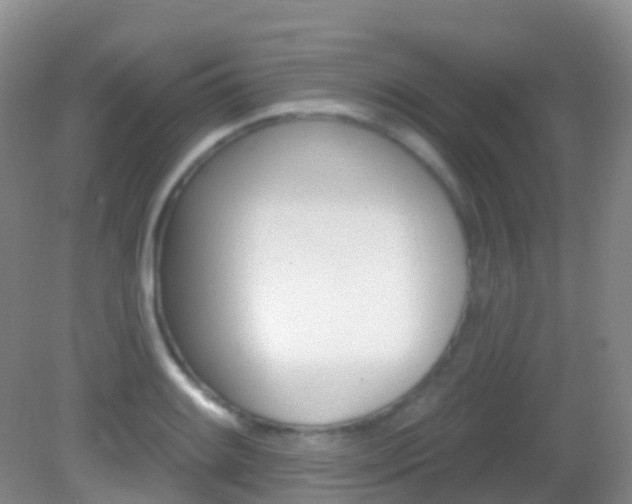 X0000082981084200702011202