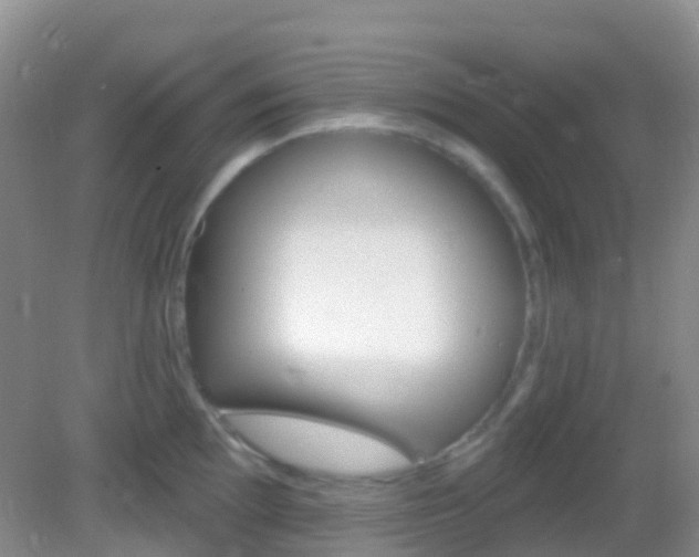 X0000082981097200702011202