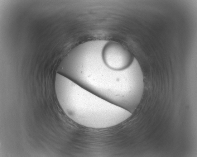 X0000082981106200702011201