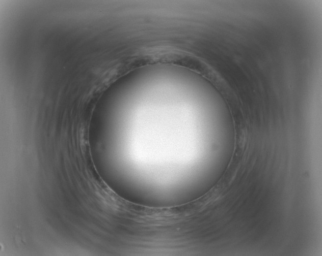 X0000082981108200702011201