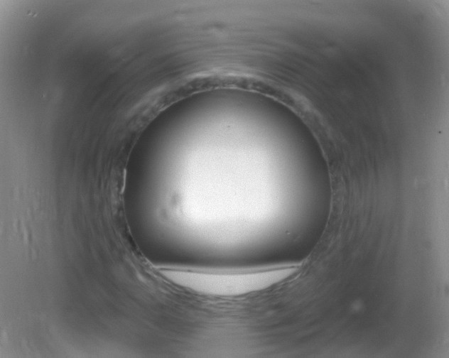 X0000082981110200702011201