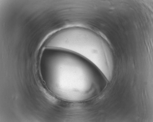 X0000082981116200702011201