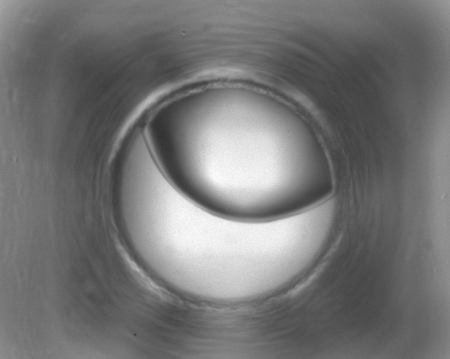 X0000082981118200702011201