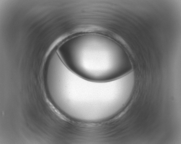 X0000082981122200702011201