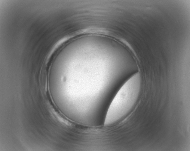 X0000082981123200702011201