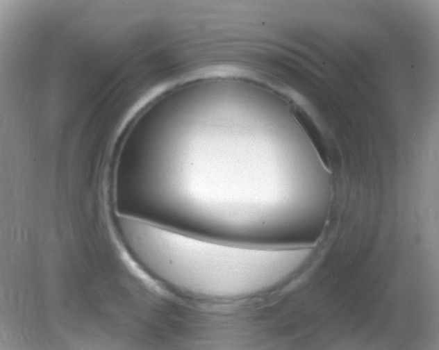 X0000082981134200702011201