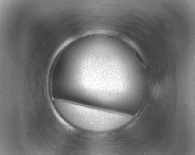X0000082981135200702011201