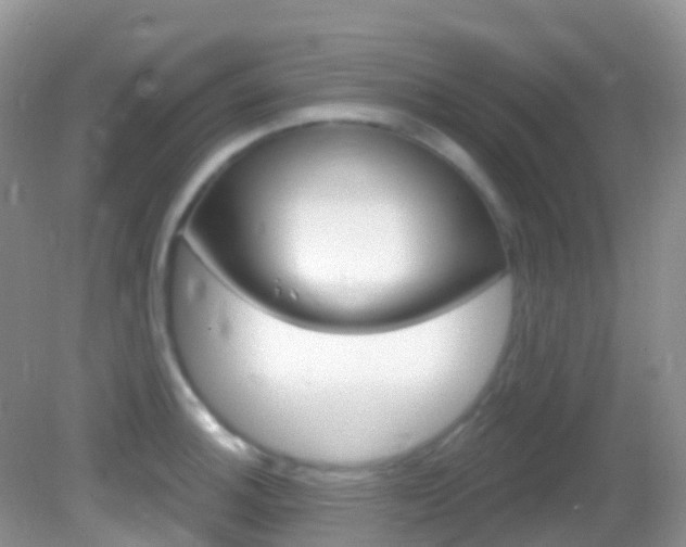 X0000082981140200702011201